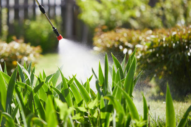 24/7 Emergency Wasp Removal experts in Reidland, KY