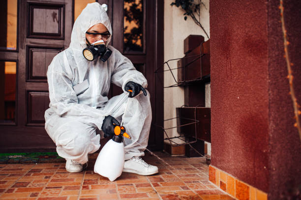 Reliable Wasp Removal contractor in Reidland, KY by Show Me Pest Control